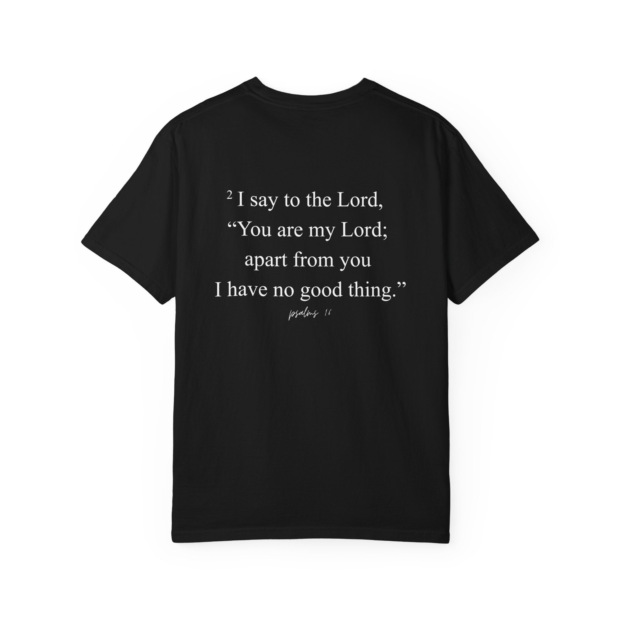 Psalms 16:2