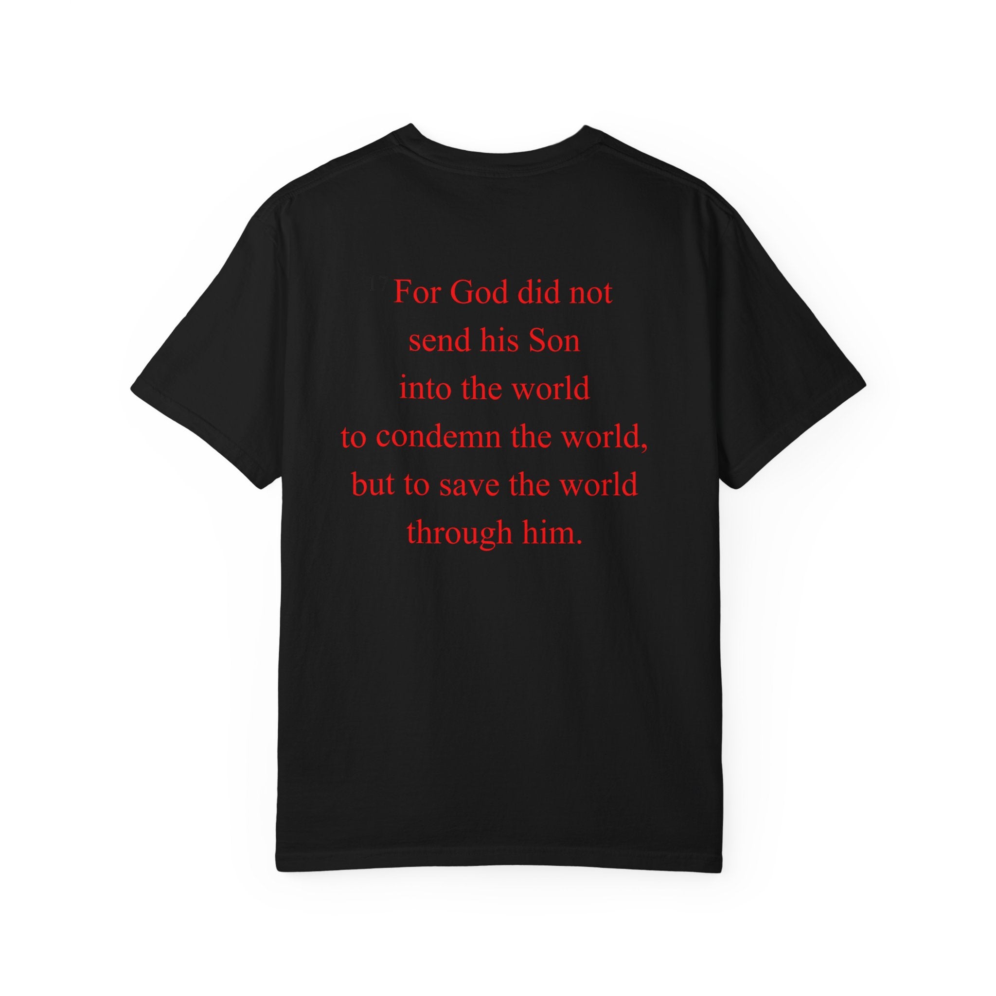 JOHN 3:17