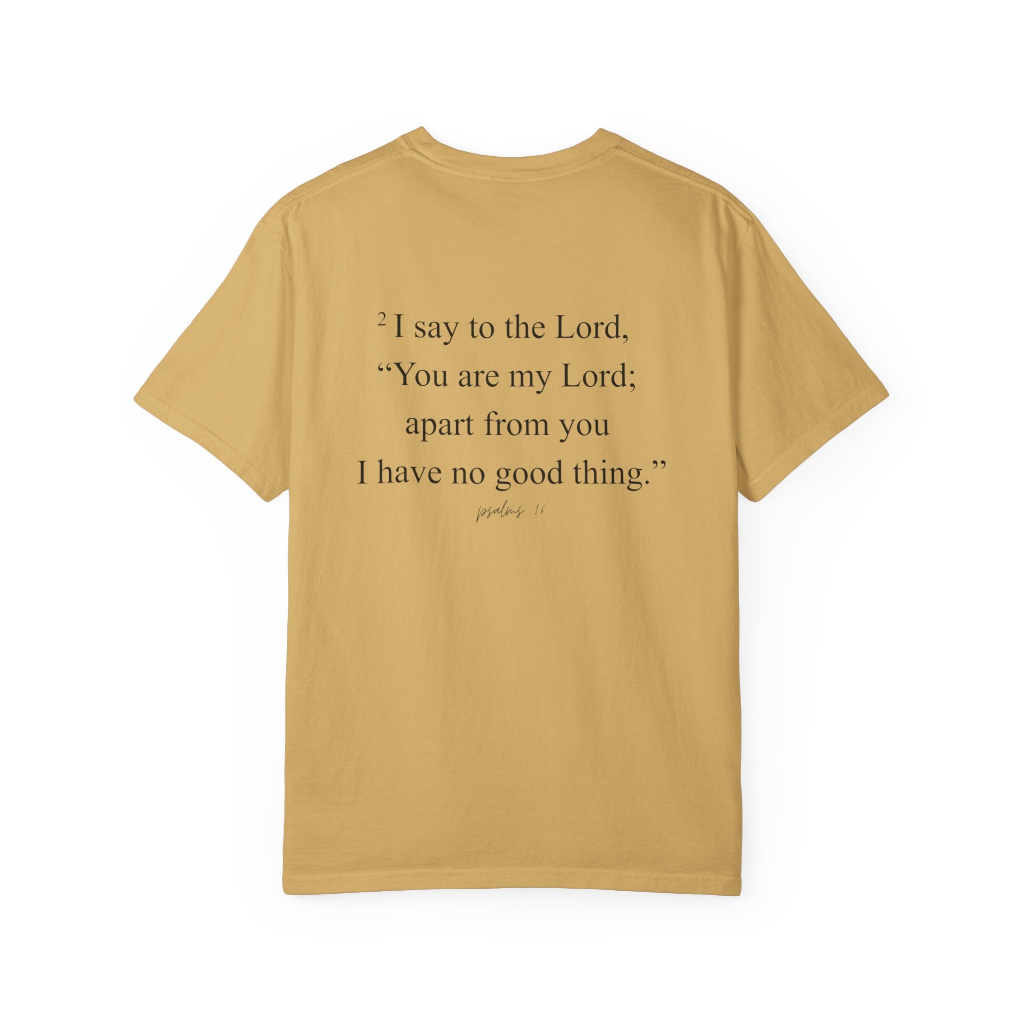 Psalms 16:2